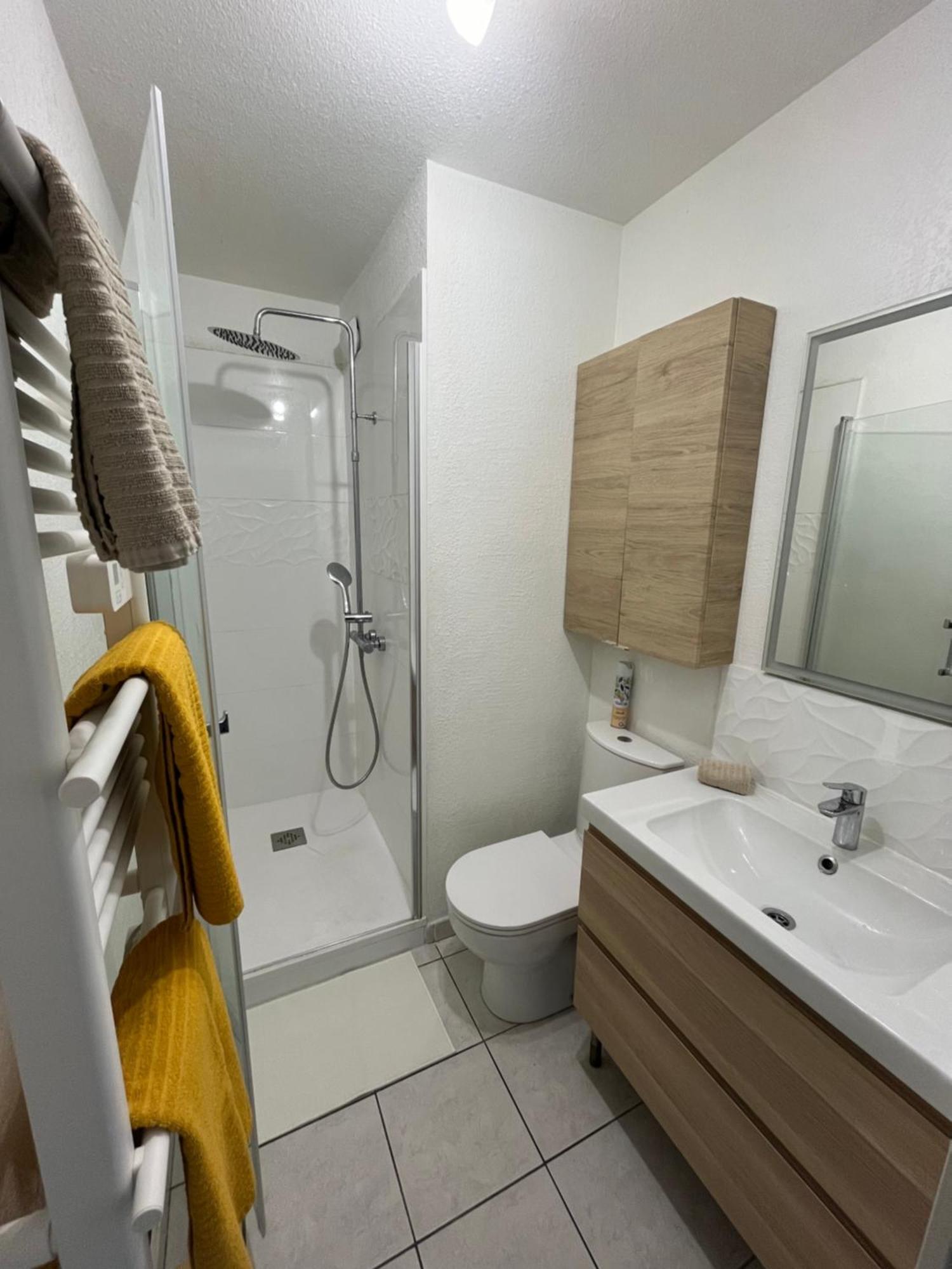 Joli T2/ Tram/ Clim/ Parking/ Wifi/ Piscine Apartment Монпелие Екстериор снимка